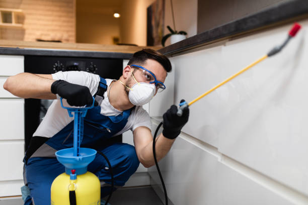 Best Pest Prevention Services  in Metamora, IL