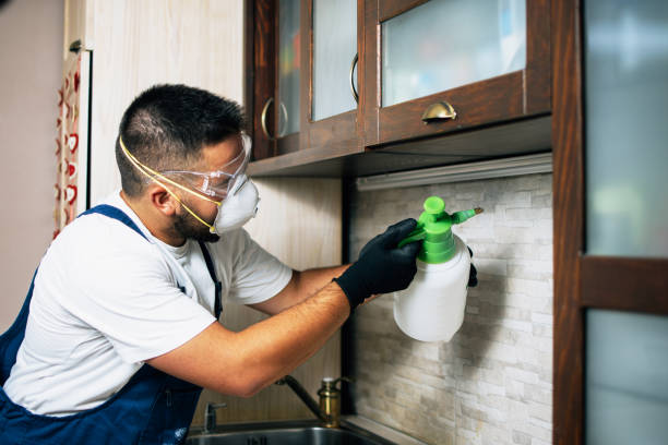 Best Affordable Pest Control Services  in Metamora, IL