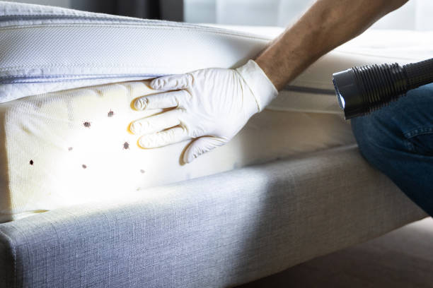 Best Best Pest Control Companies  in Metamora, IL
