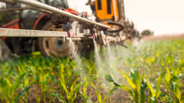 Pest Control Cost in Metamora, IL